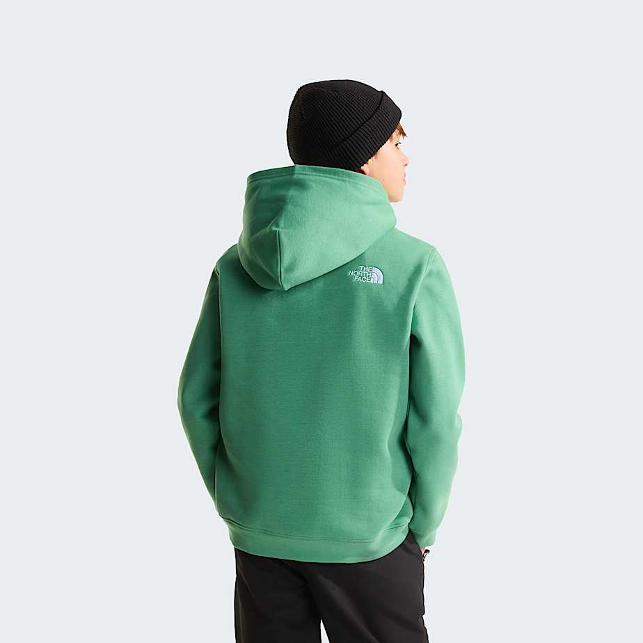 Teens TNF Essential Drew Peak Hoodie TNF ALT3