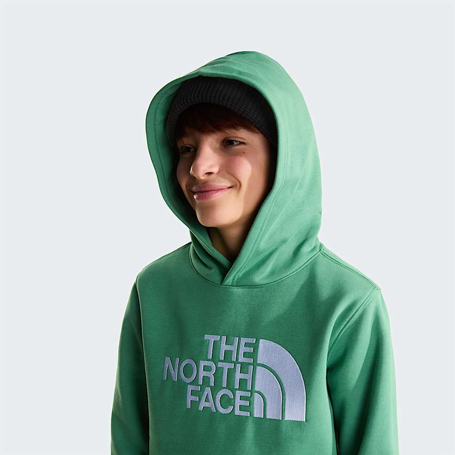 Teens TNF Essential Drew Peak Hoodie TNF ALT4