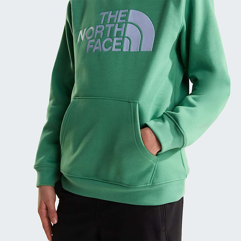 Teens TNF Essential Drew Peak Hoodie TNF ALT5