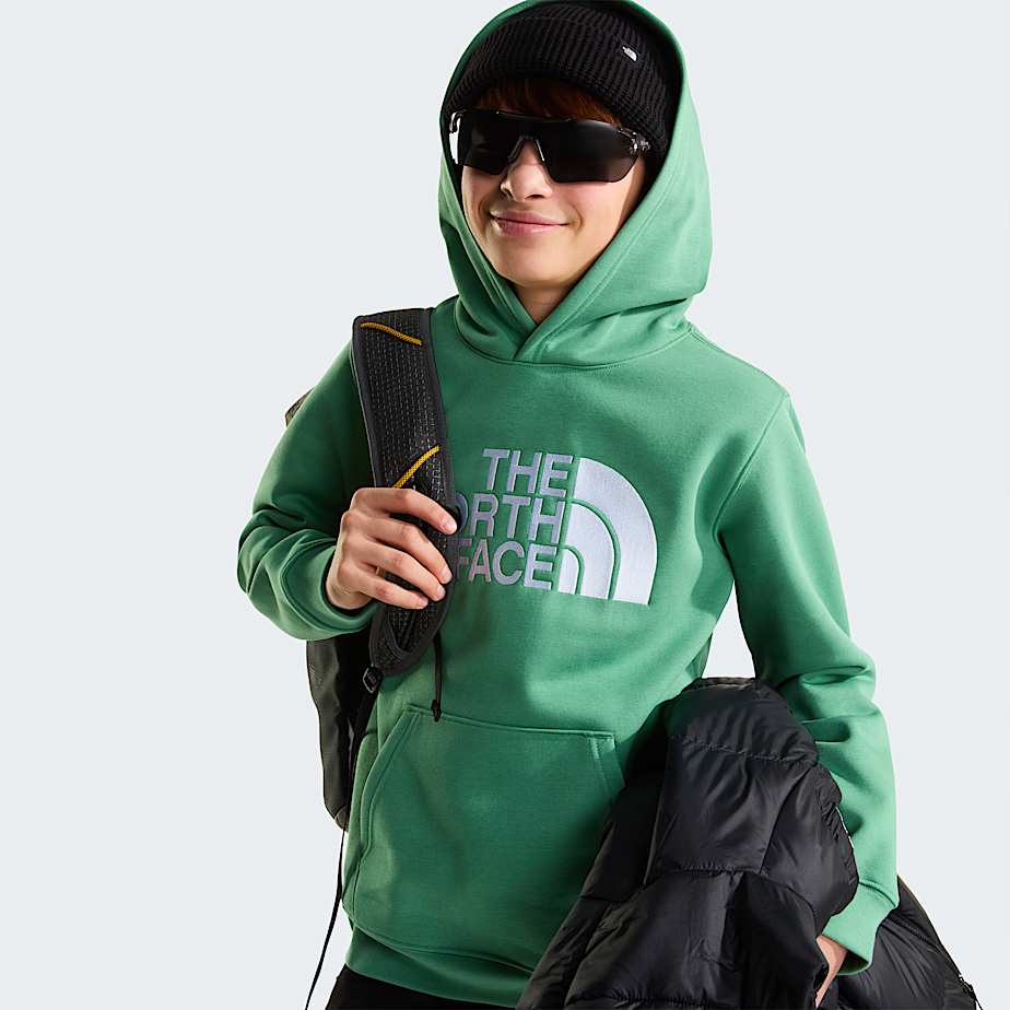 Teens TNF Essential Drew Peak Hoodie TNF ALT6