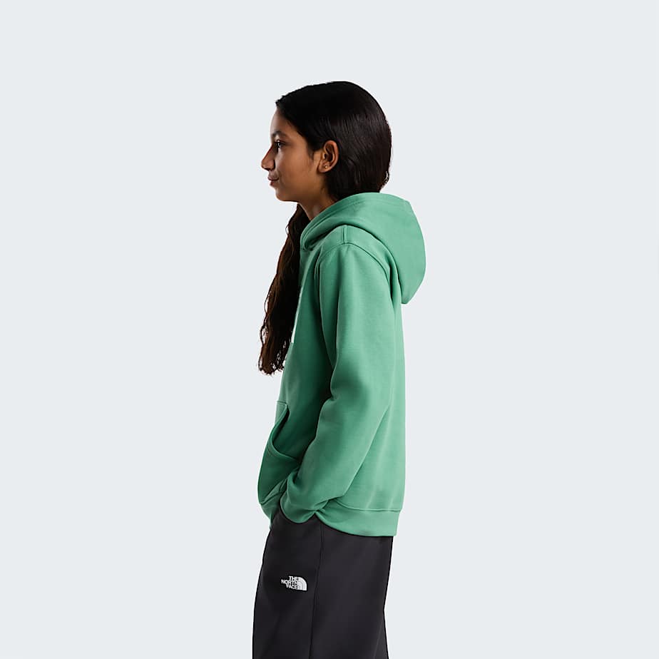 Teens TNF Essential Drew Peak Hoodie TNF ALT14