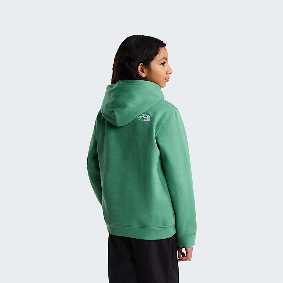 Teens TNF Essential Drew Peak Hoodie TNF ALT15