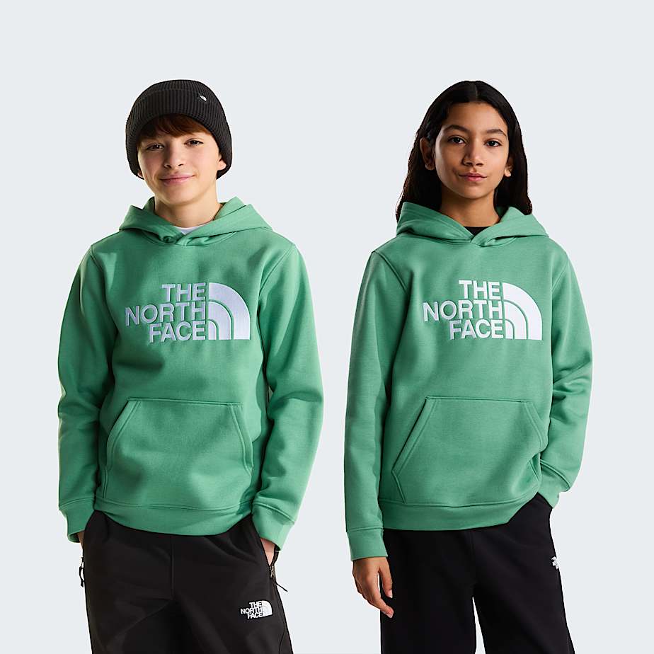 Teens TNF Essential Drew Peak Hoodie TNF HERO