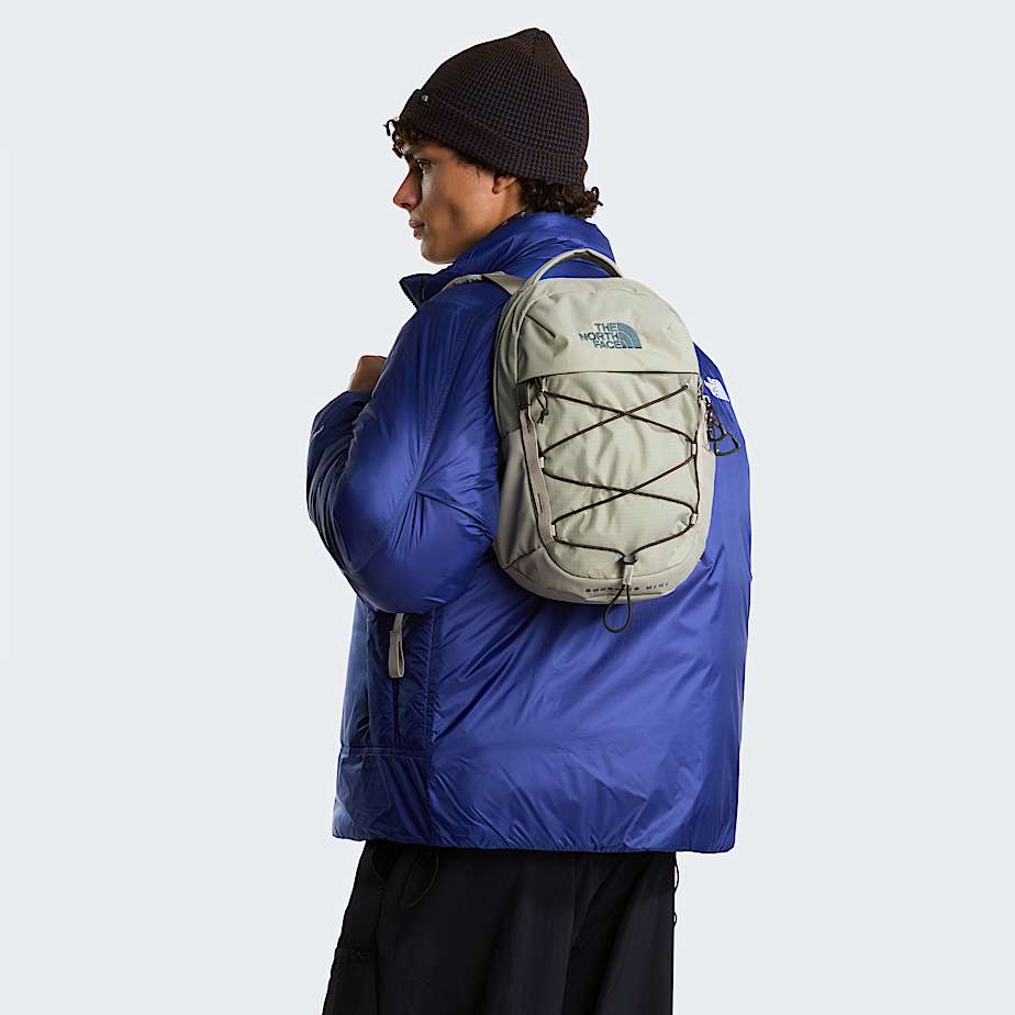 Borealis Mini Backpack | The North Face FI