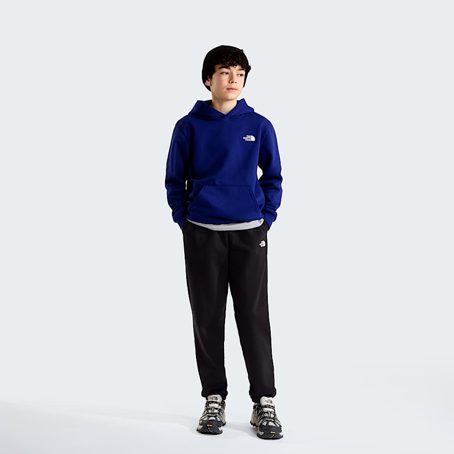 Pantalon de jogging Evolution Simple Dome pour enfant TNF ALT3