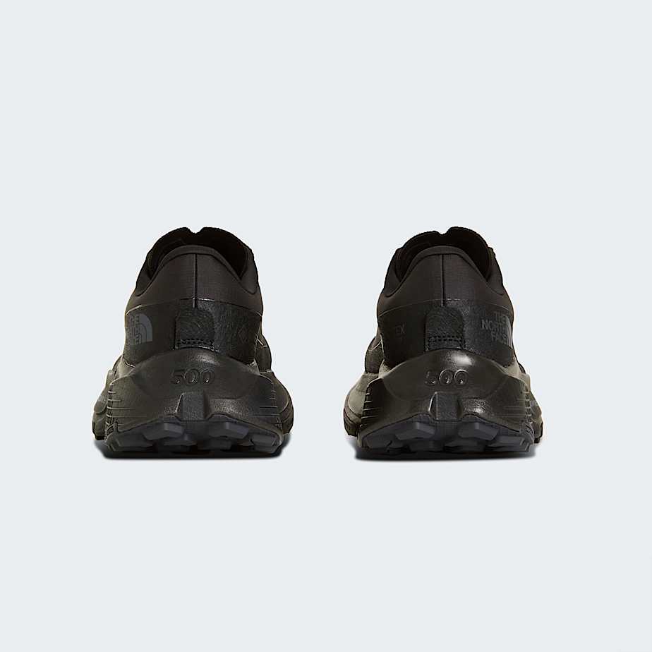 Womens Altamesa 500 V2 GORETEX Shoes TNF ALT6