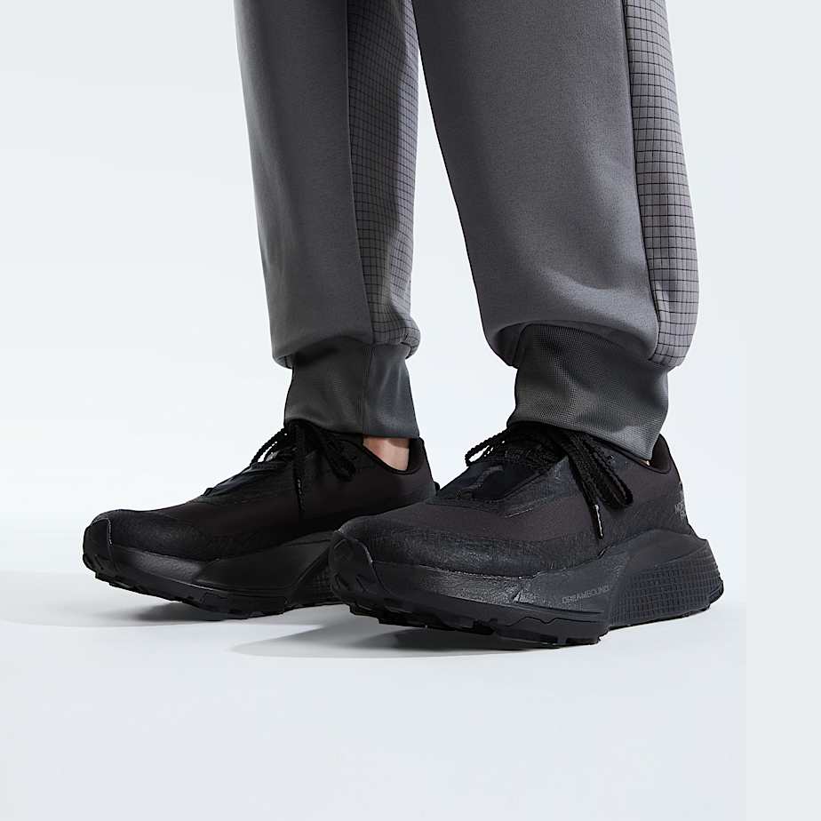 Womens Altamesa 500 V2 GORETEX Shoes TNF ALT4