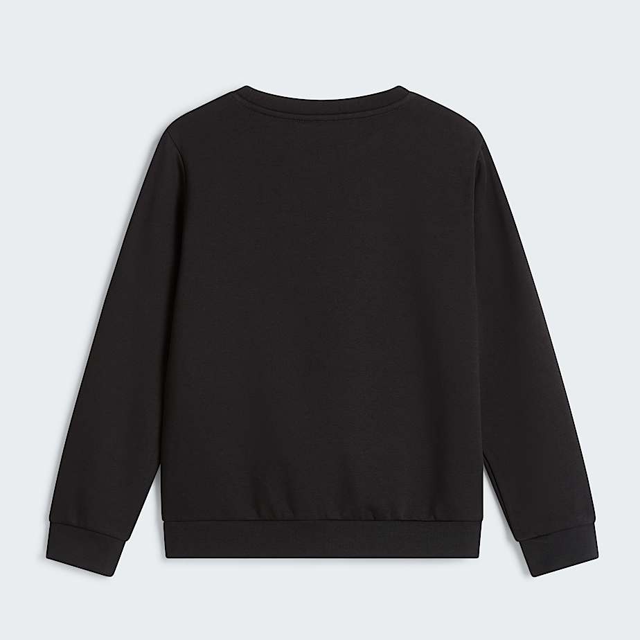 Evolution Simple Dome Sweatshirt Junior TNF ALT1