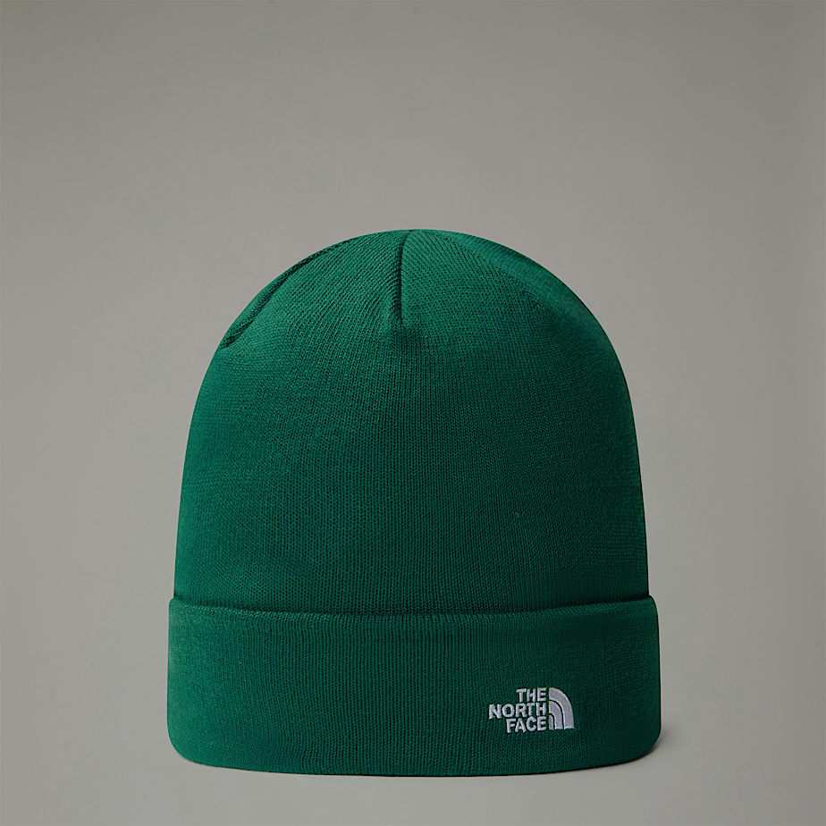 Norm Beanie | The North Face FI