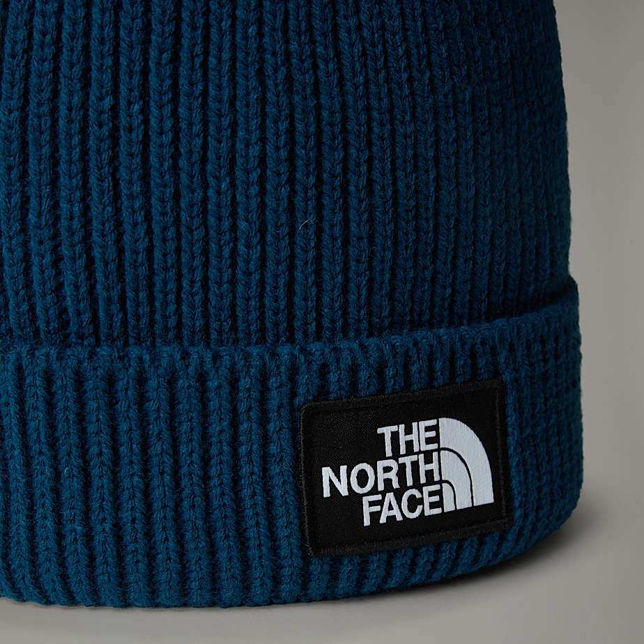 TNF Logo Box Pom Beanie - 3