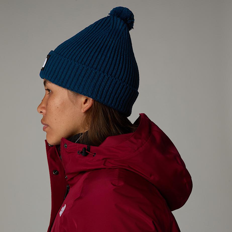 TNF Logo Box Pom Beanie - 4