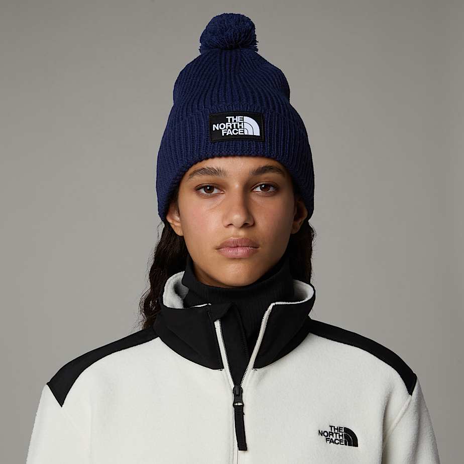 TNF Logo Box Pom Beanie - 4
