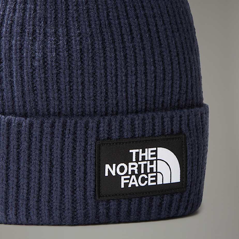 TNF Logo Box Pom Beanie - 3