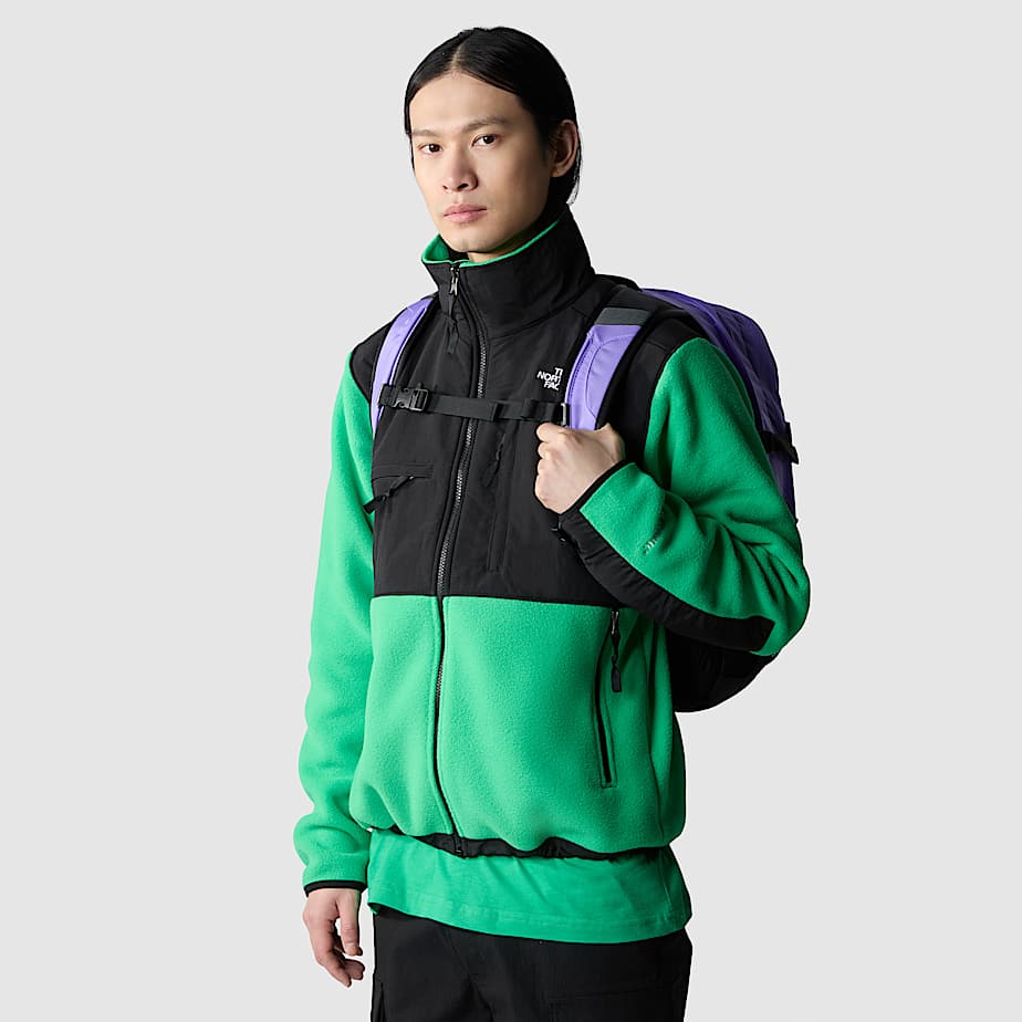 Veste Denali pour homme