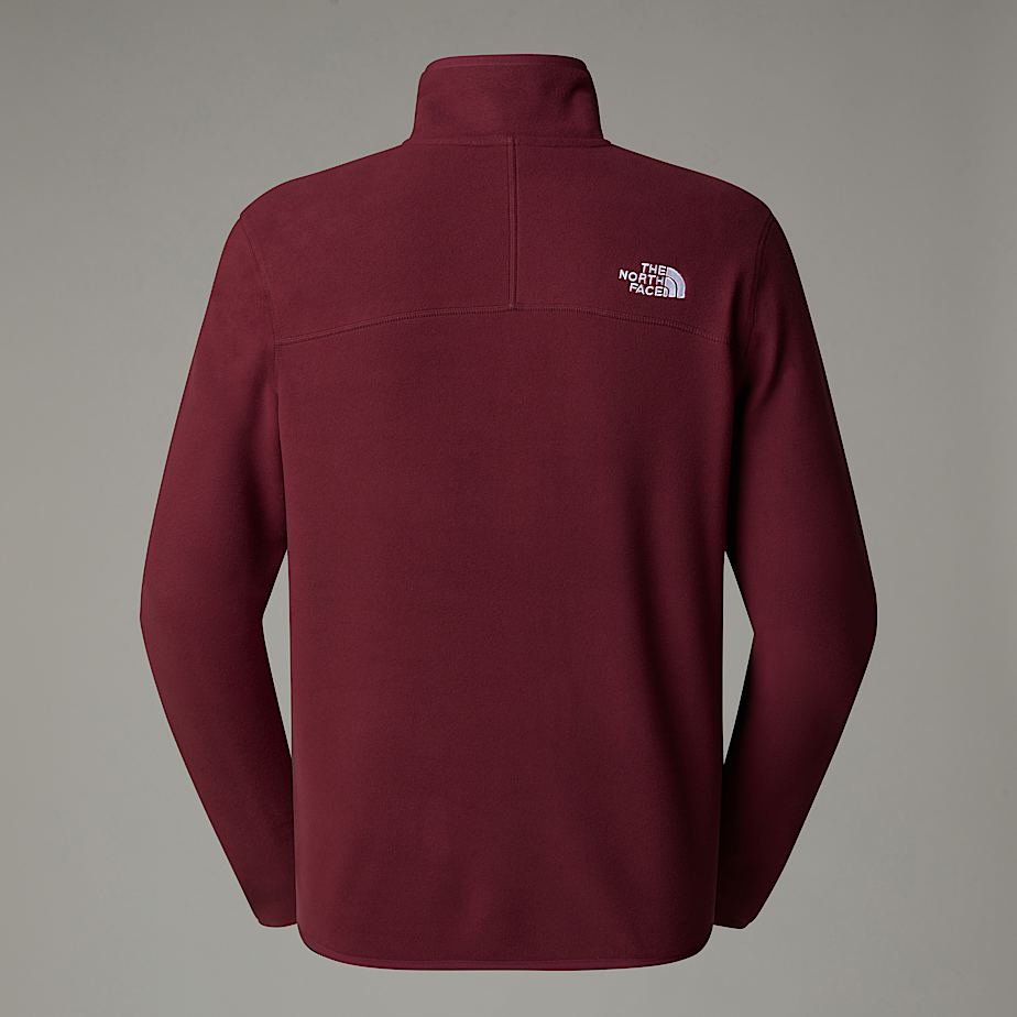 Men's 100 Glacier 1/4 Zip Fleece - 2