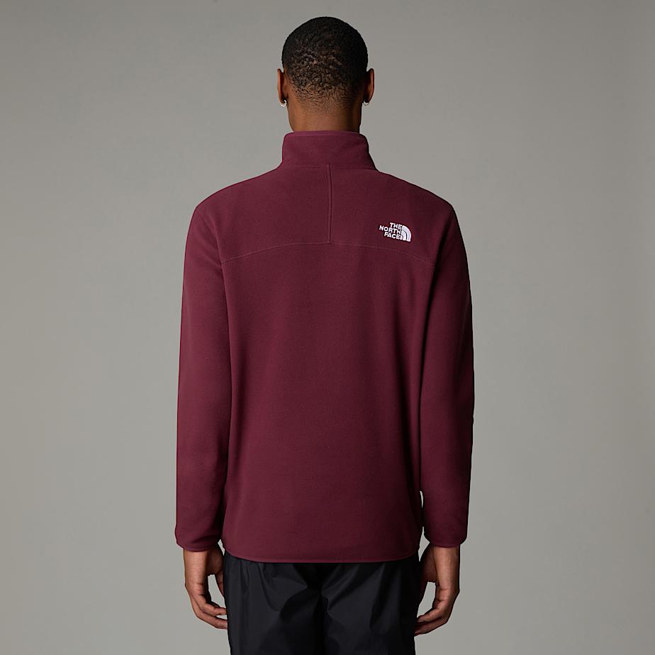 Men's 100 Glacier 1/4 Zip Fleece - 5