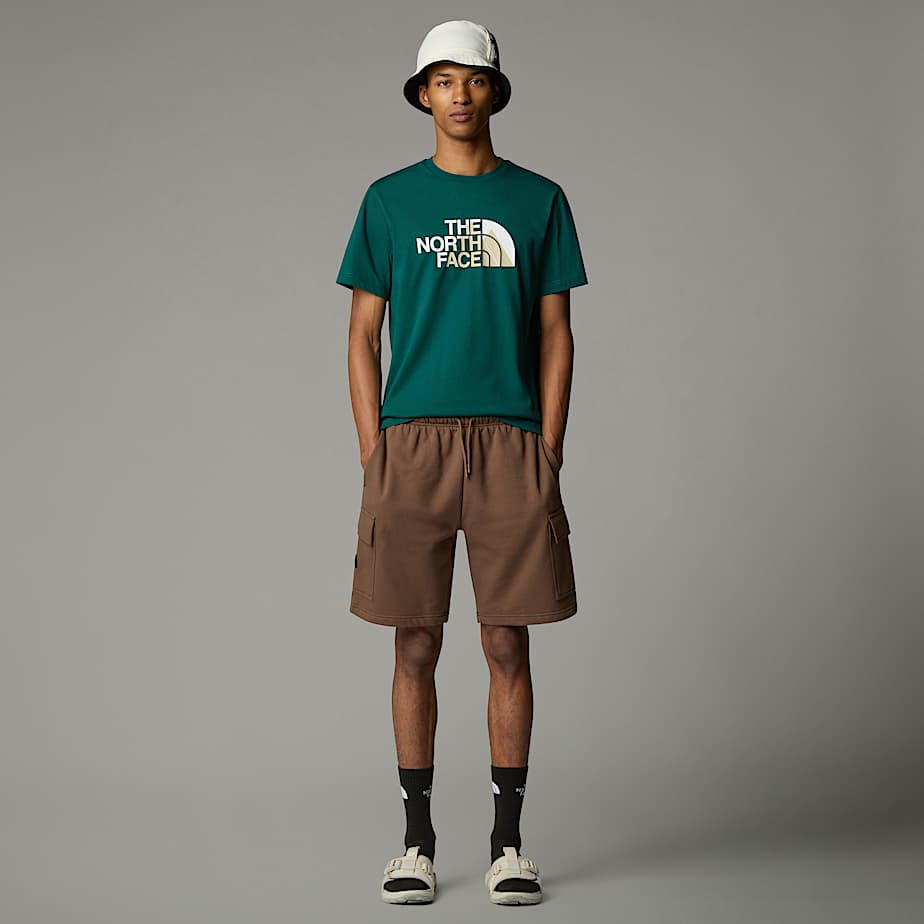 ★★送料無料★★THE NORTH FACE MEN'S ONE STROKE GRAPHIC TEE Men's Biner Graphic 1 T-Shirt | The North Face FI