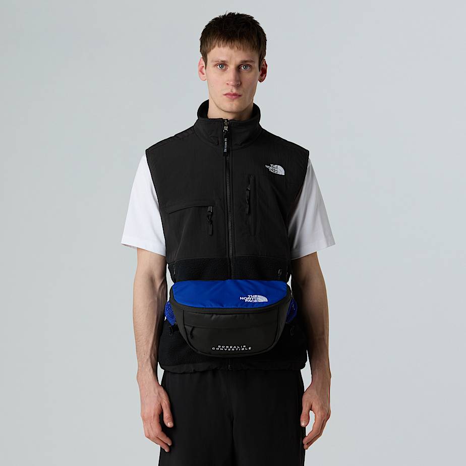 Borealis Convertible Backpack
