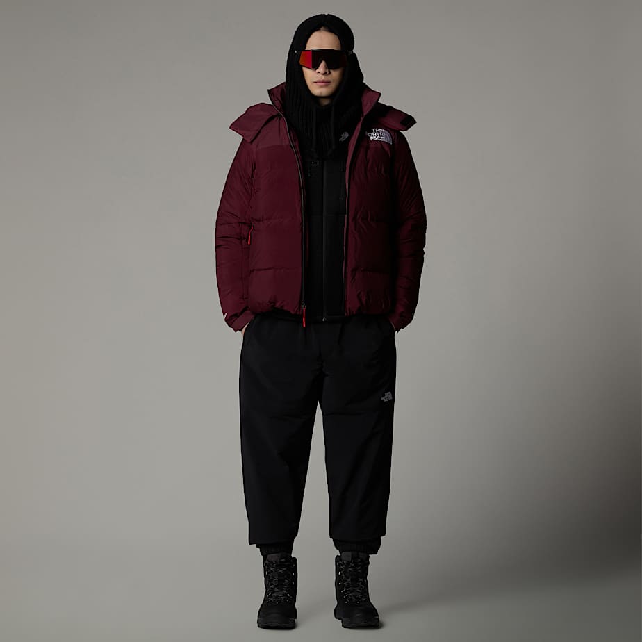 Mens north face jacket puffer online