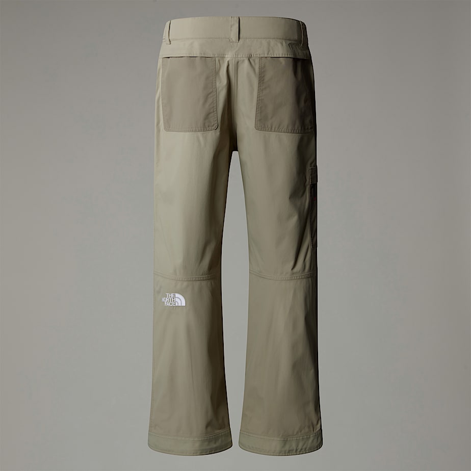 North face slashback cargo pants hot sale