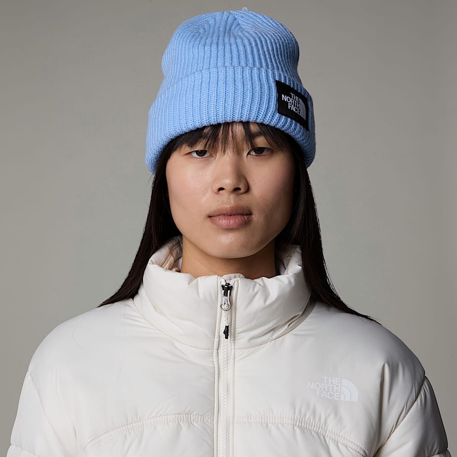The north face salty dog beanie best sale