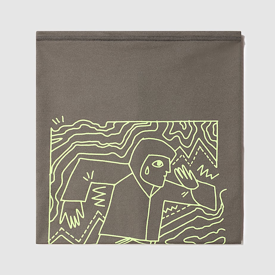 Dipsea Cover It Neck Gaiter The North Face FI