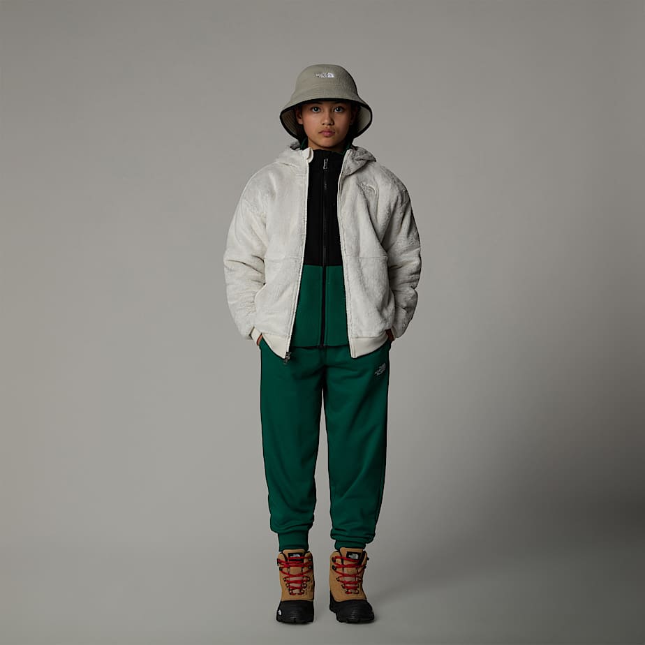 North face hooded osito fleece clearance