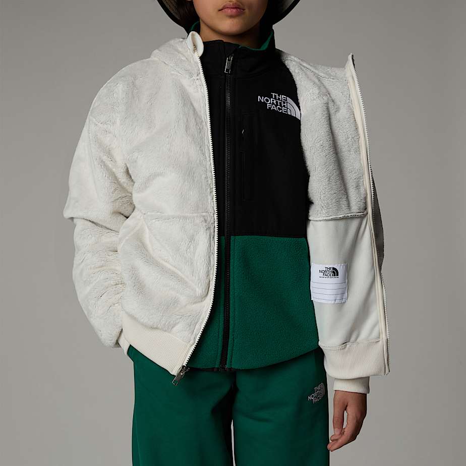 The north face osito sherpa full zip jacket clearance