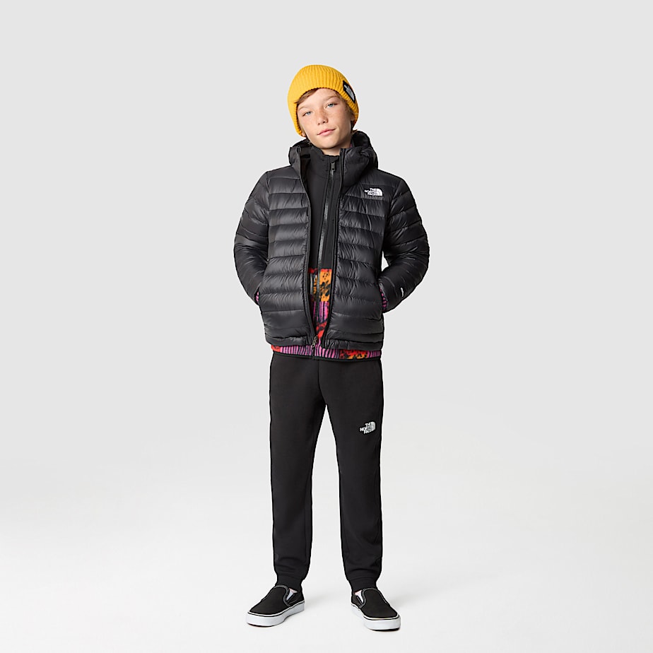 The north face aconcagua down hoodie cheap