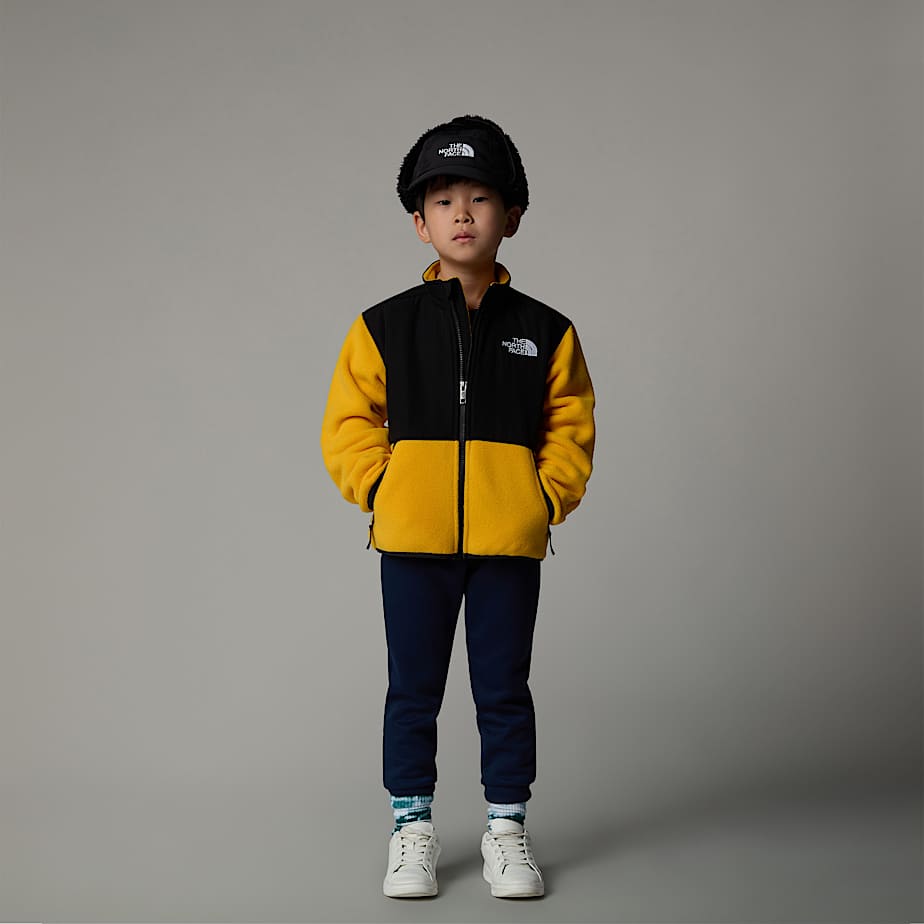 Kids north face denali jacket shop