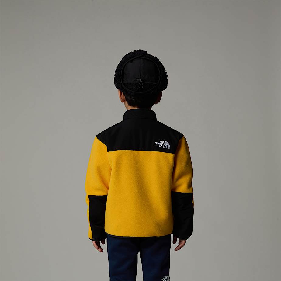 Children's north face denali jackets sale top