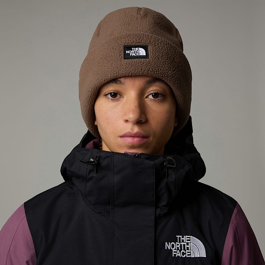 North face wicked beanie cheap