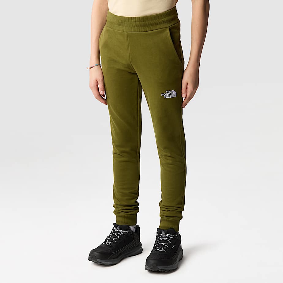 North face surgent joggers online