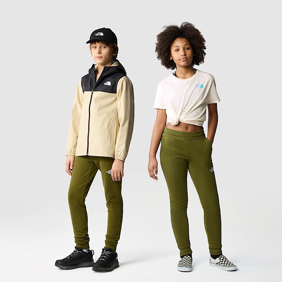 North face drew peak joggers cheap
