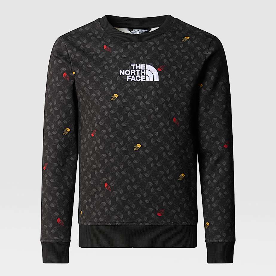 Boys north face sweatshirt sale