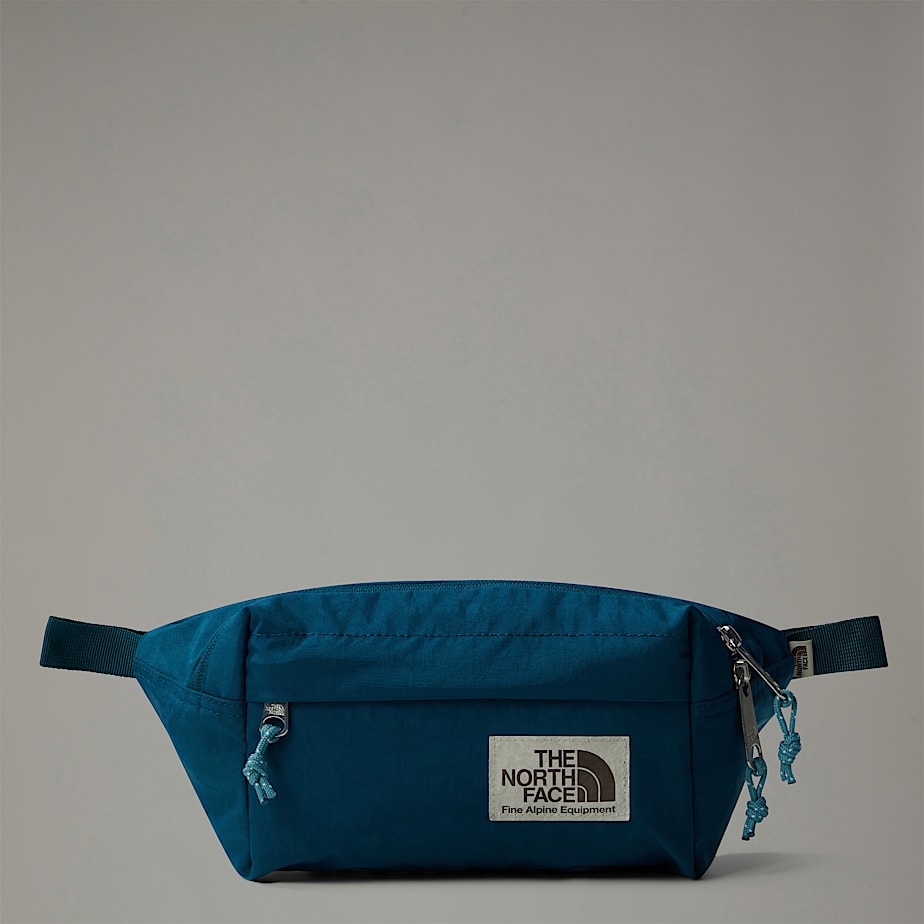 Bum bag tnf best sale