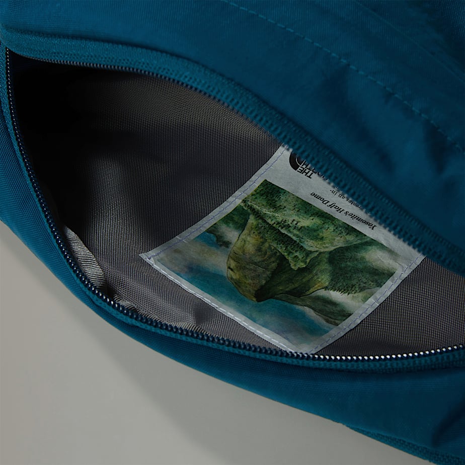 The north face bum bags 2025