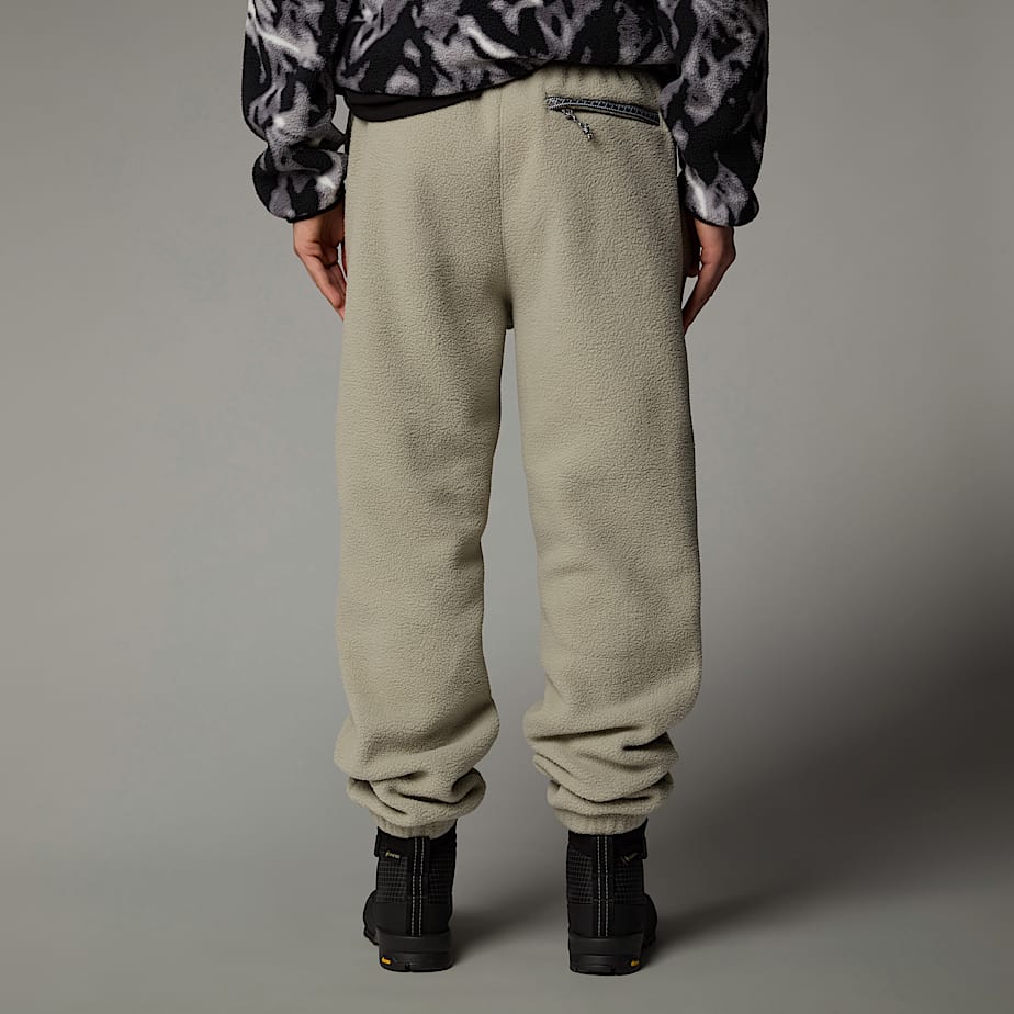 TNF fleeski joggingbroek voor heren The North Face NL