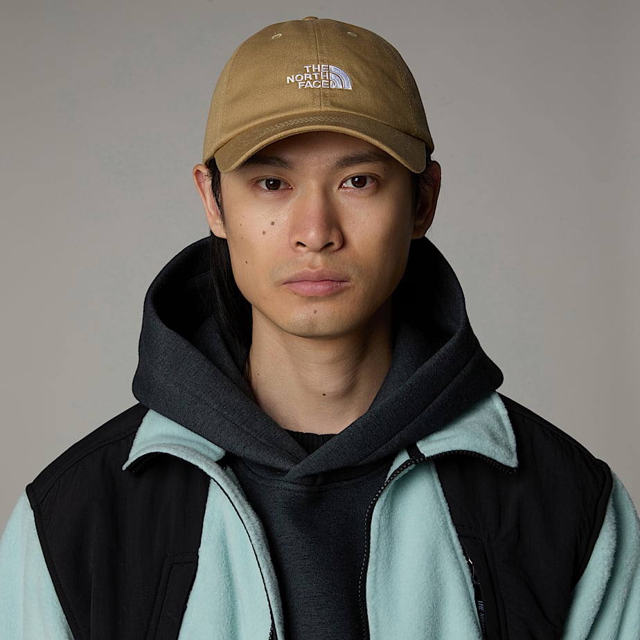 North face baseball cap uk store