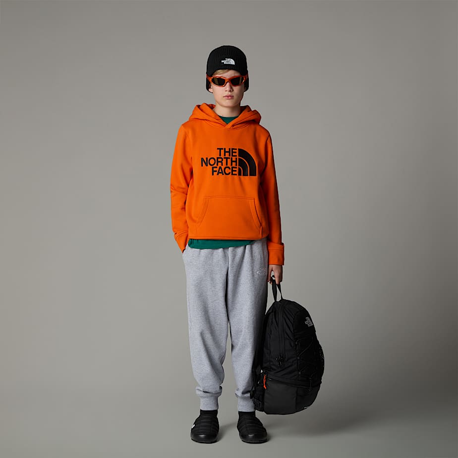Boys Drew Peak Hoodie The North Face FI