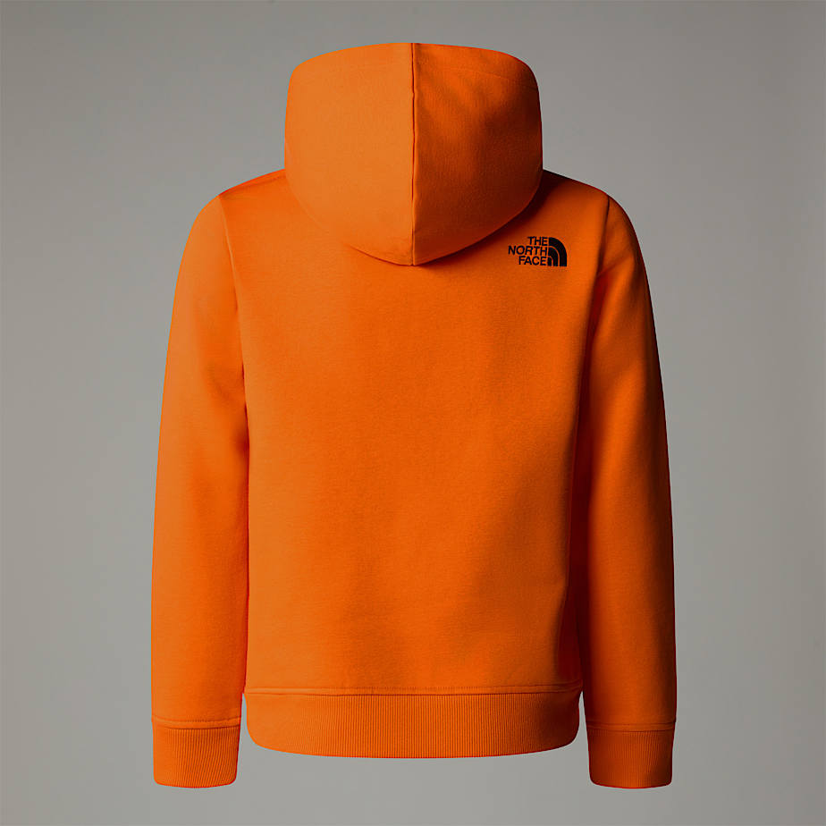 The north face youth drew peak hoodie on sale
