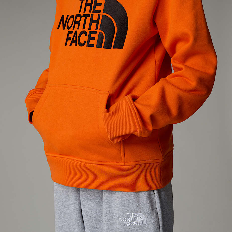 The north face youth drew peak hoodie outlet