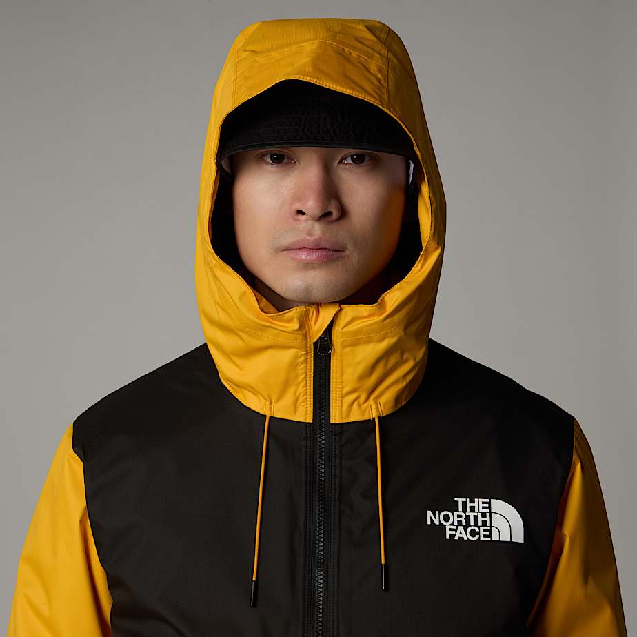 The north face insulated mountain q jacket hot sale