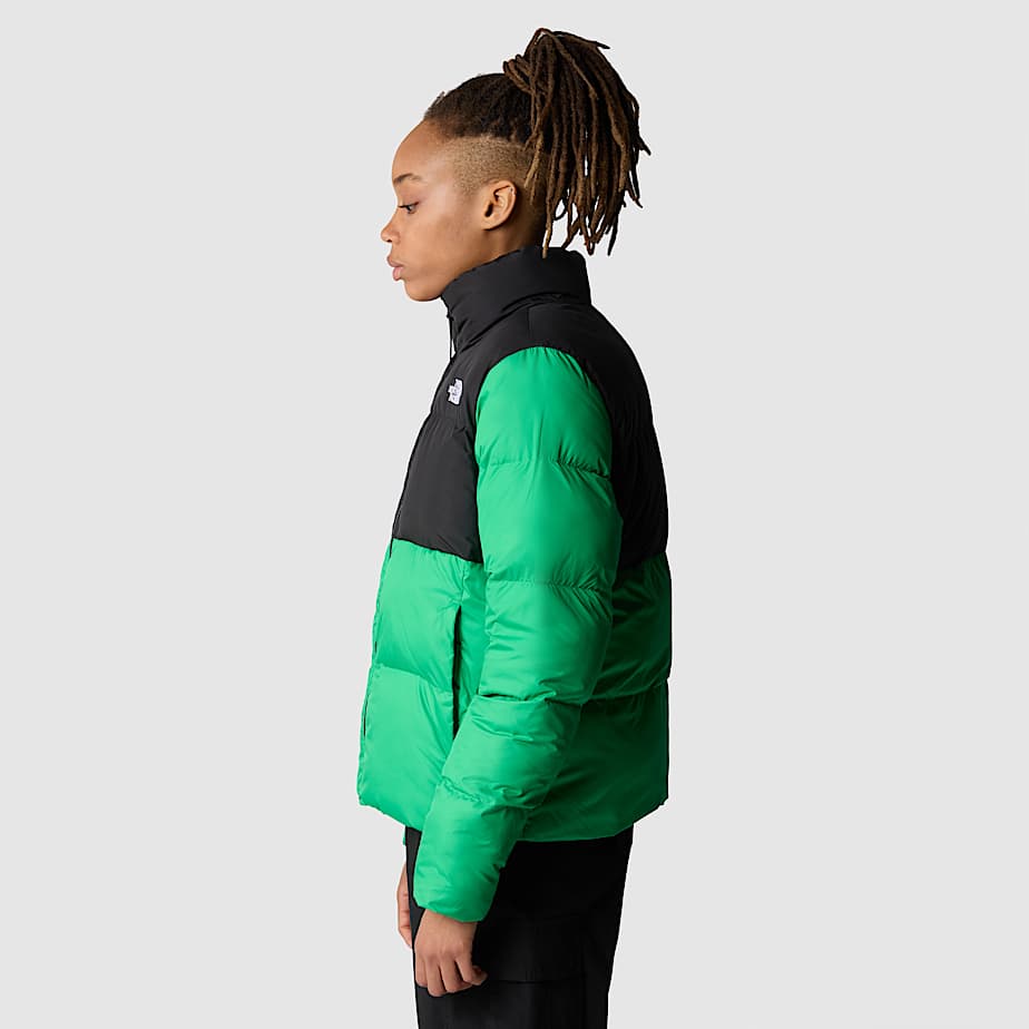 The north face veste femme outlet