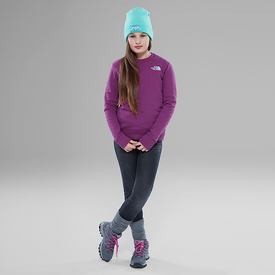 The north face drew peak sweater top