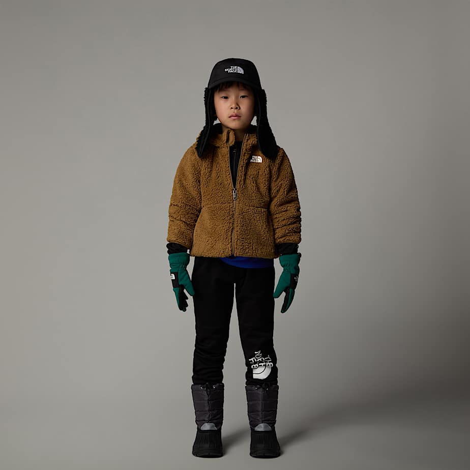 Felpa con cappuccio e cerniera integrale Campshire da bambini The North Face CH