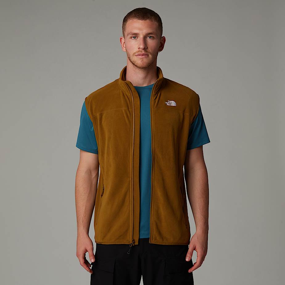 Mens fleece gilet north face shop