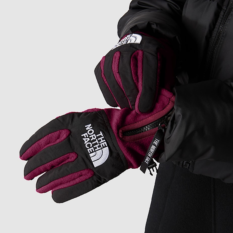 Denali Etip Gloves The North Face FI