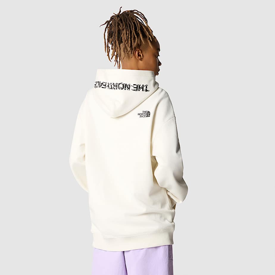 North face nse graphic hoodie deals