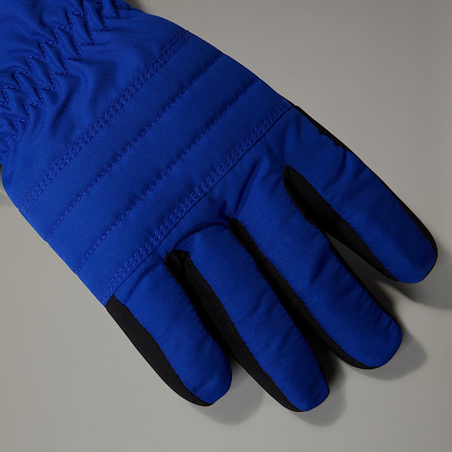 Gant de ski north face online